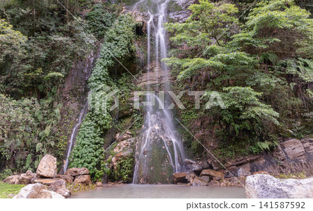 Beautiful silky waterfall cascading down a verdant karst mountain cliff in Wulong, Chongqing, China. Tranquil nature background featuring tropical greenery, mossy rock formations, and clear mountain Beautiful silky waterfall cascading down a verdant karst mountain cliff in Wulong, Chongqing, China. Tranquil nature background featuring tropical greenery, mossy rock formations, and clear mountain 141587592