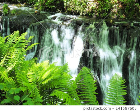 Nagano Prefecture: Fresh greenery and Shiraito Falls, May Nagano Prefecture: Fresh greenery and Shiraito Falls, May 141587603