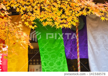 京都今熊野觀音寺:美麗的紅葉(京都府京都市東山區) 京都今熊野觀音寺:美麗的紅葉(京都府京都市東山區) 141588578