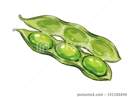 一幅令人垂涎欲滴的毛豆插圖 一幅令人垂涎欲滴的毛豆插圖 141588848