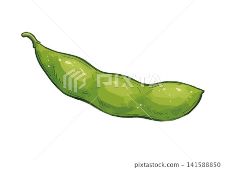 A mouthwatering illustration of edamame beans A mouthwatering illustration of edamame beans 141588850