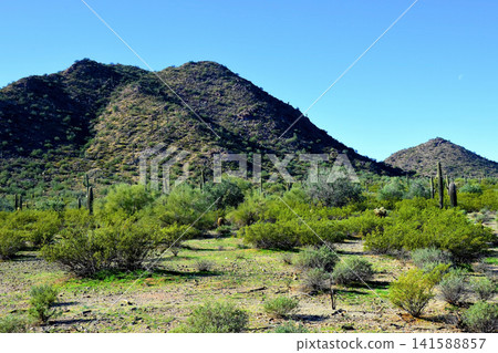 Sonoran Desert Arizona 141588857