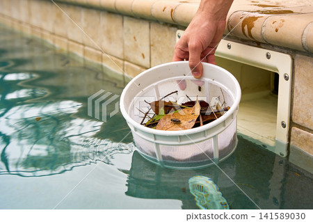 Removing debris from pool skimmer basket with leaves and insects Removing debris from pool skimmer basket with leaves and insects 141589030