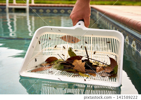 Hand holding a skimmer net filled with leaves and insects from a swimming pool Hand holding a skimmer net filled with leaves and insects from a swimming pool 141589222