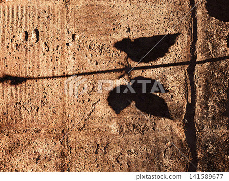Minimalist composition featuring the shadow of a leaf on a textured concrete wall illuminated by warm natural sunlight. Architectural texture. Minimalist composition featuring the shadow of a leaf on a textured concrete wall illuminated by warm natural sunlight. Architectural texture. 141589677