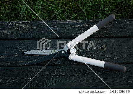 Manual hedge shears placed on dark wooden boards in a backyard garden. Pruning tool prepared for seasonal maintenance. Manual hedge shears placed on dark wooden boards in a backyard garden. Pruning tool prepared for seasonal maintenance. 141589679