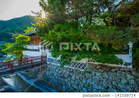 Okayama Prefecture, Takahashi City, Bitchu-Takahashi: A townscape of samurai residences 141589714