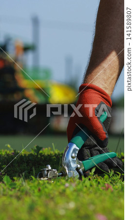 Gardener wearing protective gloves using hand shears to meticulously trim grass and weeds along a lawn edge 141589807