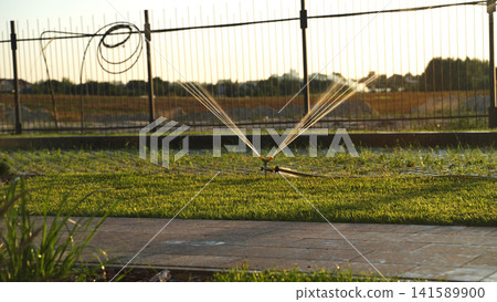 Garden sprinkler watering green lawn grass during golden hour sunset for irrigation and maintenance Garden sprinkler watering green lawn grass during golden hour sunset for irrigation and maintenance 141589900
