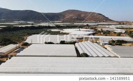 Agricultural landscape with vast greenhouse farms covering fields and hills, modern farming in rural Crete, Greece Agricultural landscape with vast greenhouse farms covering fields and hills, modern farming in rural Crete, Greece 141589951