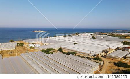 Coastal landscape with numerous greenhouses for intensive agriculture production near the sea under a clear sky Coastal landscape with numerous greenhouses for intensive agriculture production near the sea under a clear sky 141589955