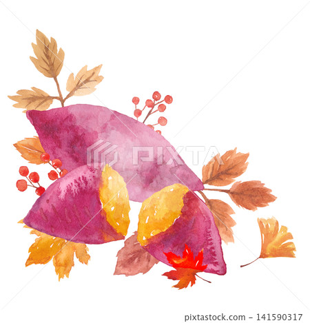 水彩紅薯畫框材料 水彩紅薯畫框材料 141590317