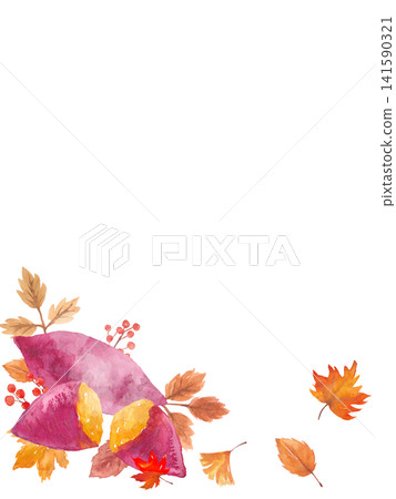 水彩紅薯框架 水彩紅薯框架 141590321