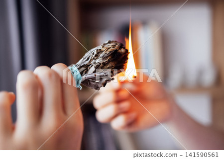 A young woman lighting a bundle of dry aromatic herbs in a room. A girl holds burning incense in her hands against the background of bookshelves and a cozy interior. A young woman lighting a bundle of dry aromatic herbs in a room. A girl holds burning incense in her hands against the background of bookshelves and a cozy interior. 141590561