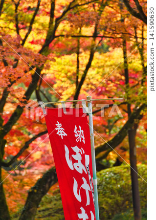 京都今熊野觀音寺:美麗的紅葉(京都府京都市東山區) 京都今熊野觀音寺:美麗的紅葉(京都府京都市東山區) 141590630