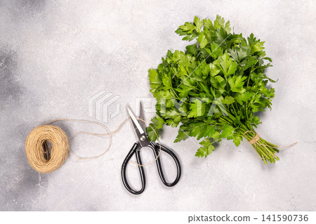 Fresh parsley bunch with twine and scissors Fresh parsley bunch with twine and scissors 141590736