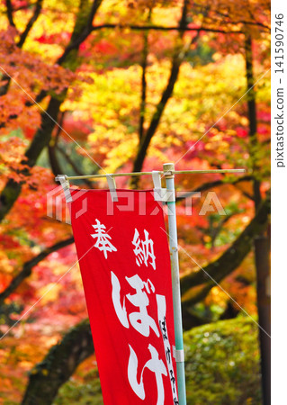 Kyoto, Imakumano Kannon-ji Temple: Beautiful autumn foliage (Higashiyama Ward, Kyoto City, Kyoto Prefecture) Kyoto, Imakumano Kannon-ji Temple: Beautiful autumn foliage (Higashiyama Ward, Kyoto City, Kyoto Prefecture) 141590746