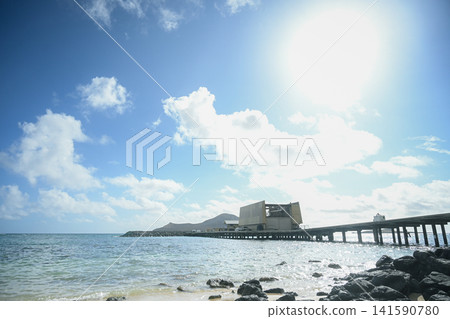夏威夷 - 馬凱研究碼頭 夏威夷 - 馬凱研究碼頭 141590780