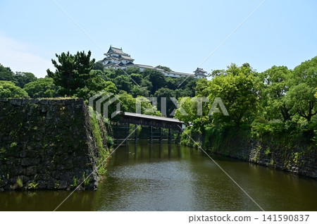 橋樑走廊和城堡天守閣(和歌山城) 橋樑走廊和城堡天守閣(和歌山城) 141590837