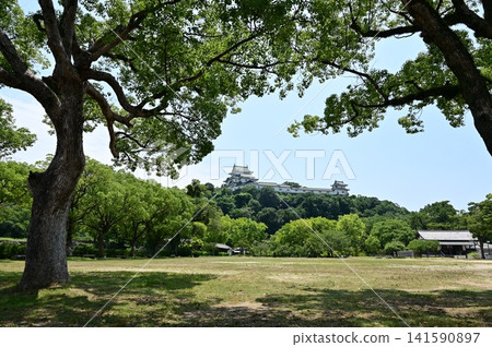 Nishinomaru Plaza and the castle tower (Wakayama Castle) Nishinomaru Plaza and the castle tower (Wakayama Castle) 141590897