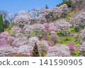 Cherry blossoms in Futanda, Ogawa Village, Nagano Prefecture 141590905