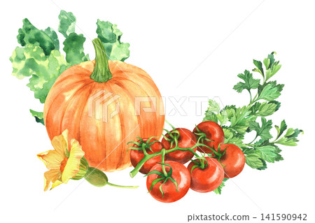 Pumpkin with the flower, lettuce, tomatoes and parsley. Watercolor illustration. Handmade art work. For packaging design, cards, cover, prints, product labels and fabric. Pumpkin with the flower, lettuce, tomatoes and parsley. Watercolor illustration. Handmade art work. For packaging design, cards, cover, prints, product labels and fabric. 141590942