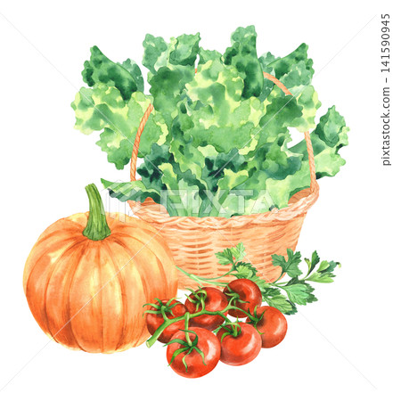 Pumpkin with the flower, lettuce, tomatoes and parsley. Watercolor illustration. Handmade art work. For packaging design, cards, cover, prints, product labels and fabric. Pumpkin with the flower, lettuce, tomatoes and parsley. Watercolor illustration. Handmade art work. For packaging design, cards, cover, prints, product labels and fabric. 141590945