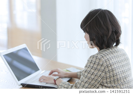 經營個人電腦的女商人 141591251