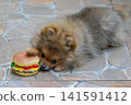 Pom Puppy Mini Burger 141591412