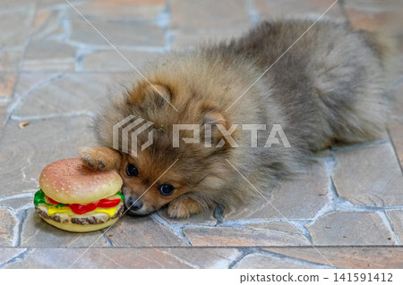 Pom Puppy Mini Burger Pom Puppy Mini Burger 141591412