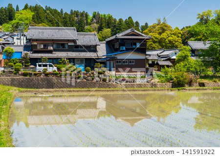 京都郊外,春意盎然,傳統的日式房屋和稻田綿延不絕。 京都郊外,春意盎然,傳統的日式房屋和稻田綿延不絕。 141591922