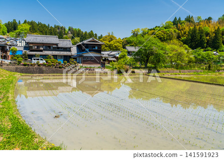 京都郊外,春意盎然,傳統的日式房屋和稻田綿延不絕。 京都郊外,春意盎然,傳統的日式房屋和稻田綿延不絕。 141591923
