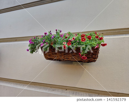 Wicker Wall Basket with Red and Purple Calibrachoa Flowers 141592379
