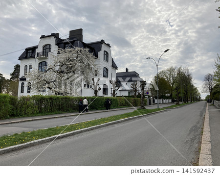 A quiet residential area in Norway, Northern Europe, with white Western-style houses and beautiful street trees. A quiet residential area in Norway, Northern Europe, with white Western-style houses and beautiful street trees. 141592437