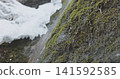 Rainwater falling on mossy ground with ice 141592585