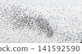 Gathering of individual birds to forage 141592590