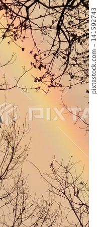 A spring rainbow gradient reflected in the twilight sky. A spring rainbow gradient reflected in the twilight sky. 141592743