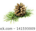 Close-up of green fir branches and pine cones in a Christmas composition, isolated on a white background with soft shadow. 141593009