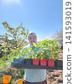 Man holding a tray of vibrant green pepper seedlings, ready for spring planting in an outdoor garden under a bright blue sky, symbolizing growth, new beginnings, and sustainable farming. 141593019