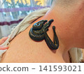 Medicinal leeches attaching to a person's neck for a natural hirudotherapy treatment, using a traditional alternative medicine approach for health and wellness. 141593021