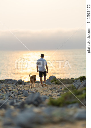 Man walks along the shore with a dog at sunset near the ocean Man walks along the shore with a dog at sunset near the ocean 141593472