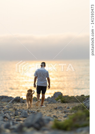 Man and dog walk along rocky beach at sunset near ocean waves Man and dog walk along rocky beach at sunset near ocean waves 141593473