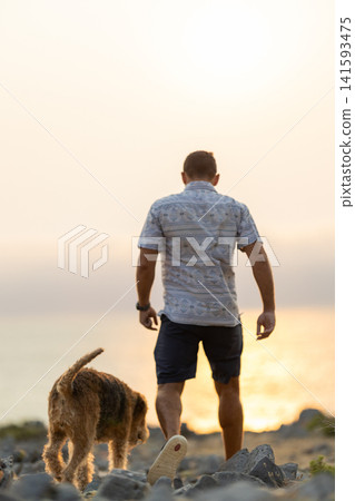 Walking with a dog along the rocky shore at sunset near the ocean Walking with a dog along the rocky shore at sunset near the ocean 141593475