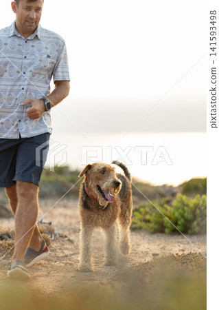 Man and airedale terrier walking together outdoors at sunset Man and airedale terrier walking together outdoors at sunset 141593498