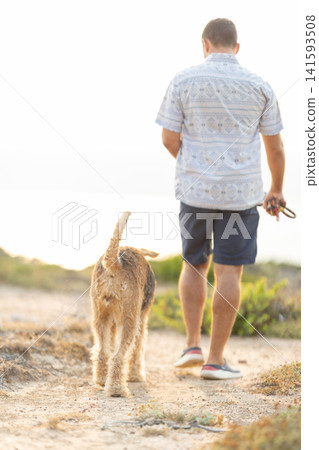 Man and airedale terrier walking together outdoors Man and airedale terrier walking together outdoors 141593508