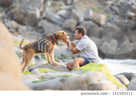 Man crouching playing with airedale terrier on rocky beach 141593511