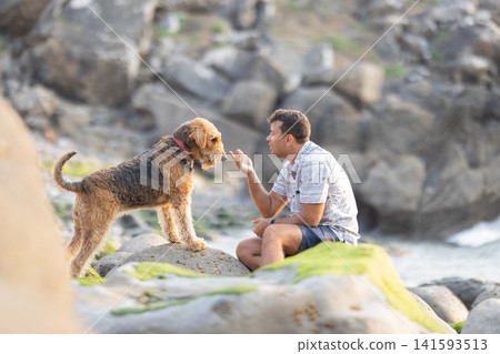 Man training airedale terrier on rocky beach during sunset Man training airedale terrier on rocky beach during sunset 141593513