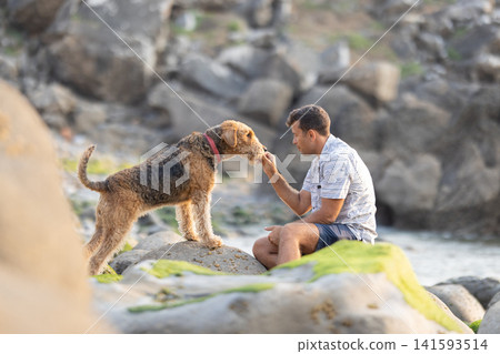 Man feeding airedale terrier on rocky beach coastline 141593514