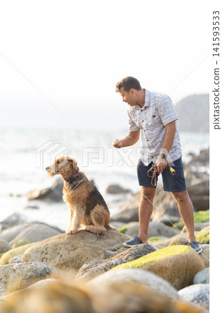 Man training airedale terrier on rocky beach Man training airedale terrier on rocky beach 141593533