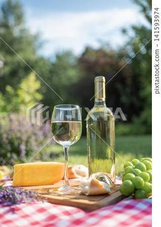 Glass of white wine with bottle and cheese on picnic blanket in sunny summer garden. Glass of white wine with bottle and cheese on picnic blanket in sunny summer garden. 141593974